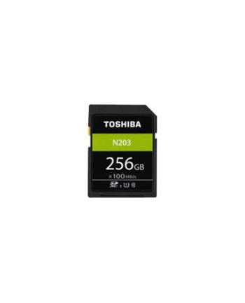Toshiba sd-card exceria r100 n203 256gb (85089) nr 1