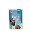 Brit Premium Cat Gravy Fillets With Tuna 85g - nr 1
