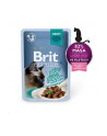 Brit Premium Cat Gravy Fillets With Beef 85g - nr 1