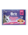 Brit Premium Cat Jelly Fillet Dinner Plate 4x85g - nr 2