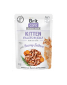 Brit Care Cat Fillets In Jelly Kitten Savory Salmon 85g - nr 1