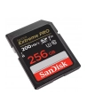 SANDISK EXTREME PRO SDXC 256GB 200/140 MB/s A2 - nr 26