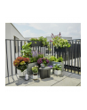 Gardena GARD-ENA Solar Irrigation AquaBloom Set, incl. water tank, irrigation control (grey, for up to 20 plants) - nr 9
