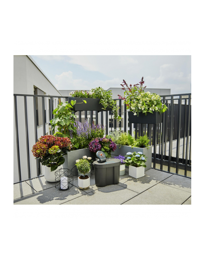 Gardena GARD-ENA Solar Irrigation AquaBloom Set, incl. water tank, irrigation control (grey, for up to 20 plants) główny