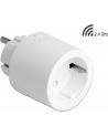 DeLOCK WLAN socket MQTT, switch socket (Kolor: BIAŁY, with energy monitoring) - nr 11