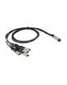 Skylane Optics DAPSSM0310G0228 kabel sieciowy Czarny 3 m - nr 1