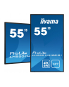 iiyama Monitor 54.6 cala LH5551UHSB-B1 4K,24/7,800cd,IPS,SLIM,DAISY/CHAIN - nr 16
