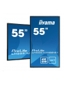 iiyama Monitor 54.6 cala LH5551UHSB-B1 4K,24/7,800cd,IPS,SLIM,DAISY/CHAIN - nr 62