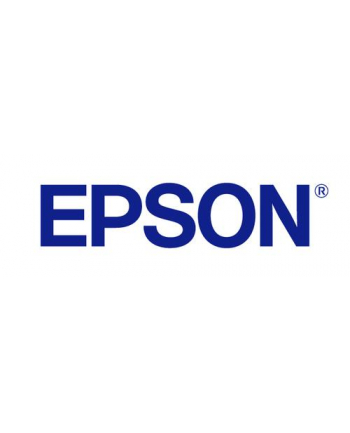 EPSON C13S090013 Cleaning Stick S090013 (50 pcs)
