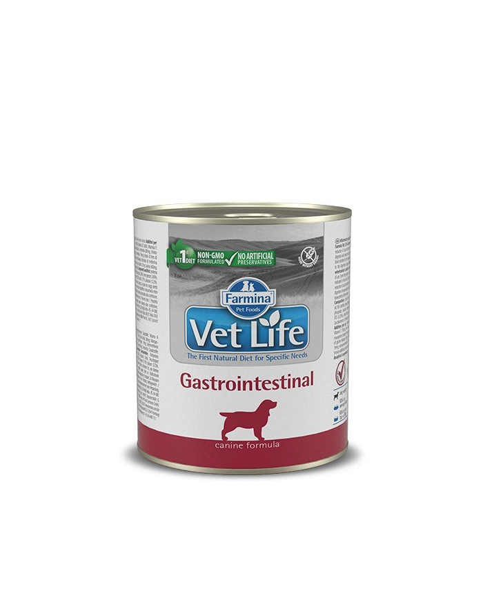 FARMINA Vet Life Gastrointestinal - mokra karma dla dorosłych psów 300g główny