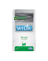 FARMINA Vet Life Feline Renal - sucha karma dla dorosłych kotów 400g - nr 1