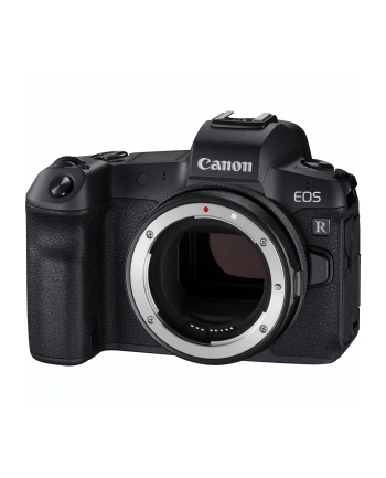 Canon EOS R Kit RF 24-105mm F4-7.1 nr 2