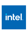 Intel IQA89601G2P5 Chłodzenie ACCEL CARD 0.00 NO CPU - nr 1