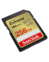 sandisk Karta pamięci Extreme SDXC 256GB 180/130 MB/s V30 UHS-I - nr 2