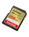 sandisk Karta pamięci Extreme SDXC 256GB 180/130 MB/s V30 UHS-I - nr 3