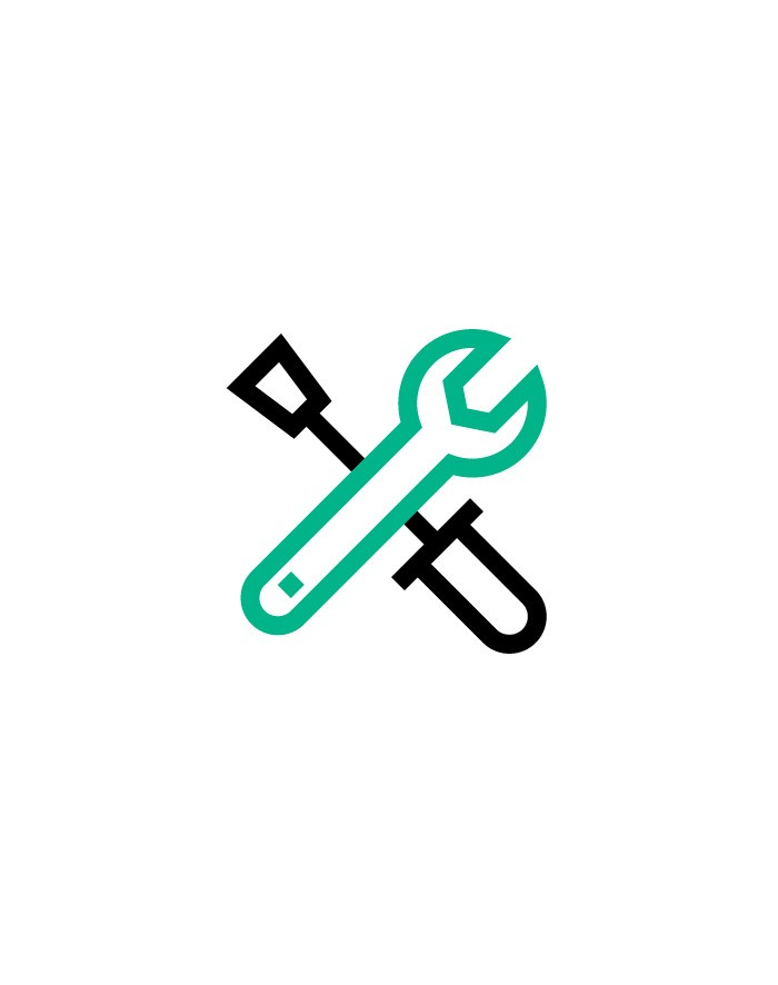 hewlett packard enterprise Usługa Install ProLiant ML350(P) U4522E główny