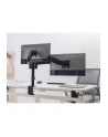 Equip 650133 uchwyt / stojak do monitorów 81,3 cm (32') Zacisk Czarny - nr 31