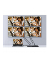 Equip 332717 HDMI 4x HDMI - nr 23
