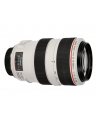 Canon EF 70-300mm 1:4.0-5.6 L IS USM - nr 11
