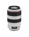 Canon EF 70-300mm 1:4.0-5.6 L IS USM - nr 12