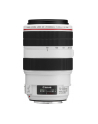 Canon EF 70-300mm 1:4.0-5.6 L IS USM - nr 2
