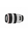 Canon EF 70-300mm 1:4.0-5.6 L IS USM - nr 6