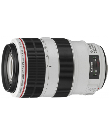 Canon EF 70-300mm 1:4.0-5.6 L IS USM