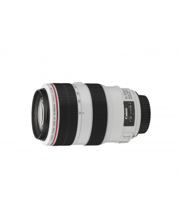 Canon EF 70-300mm 1:4.0-5.6 L IS USM