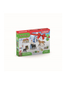 Schleich 98643 Kalendarz adwentowy Farm World 2022 - nr 4