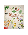 zielona sowa Książka W zgodzie z naturą. W lesie - nr 1