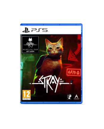 koch Gra PS5 Stray