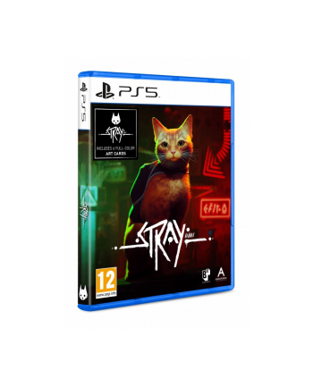 koch Gra PS5 Stray