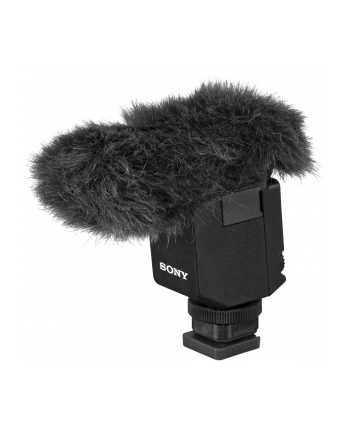 Sony ECM-B10