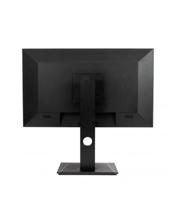 ag neovo Monitor DW2401 23.8 cala USB-C WQHD  czarny
