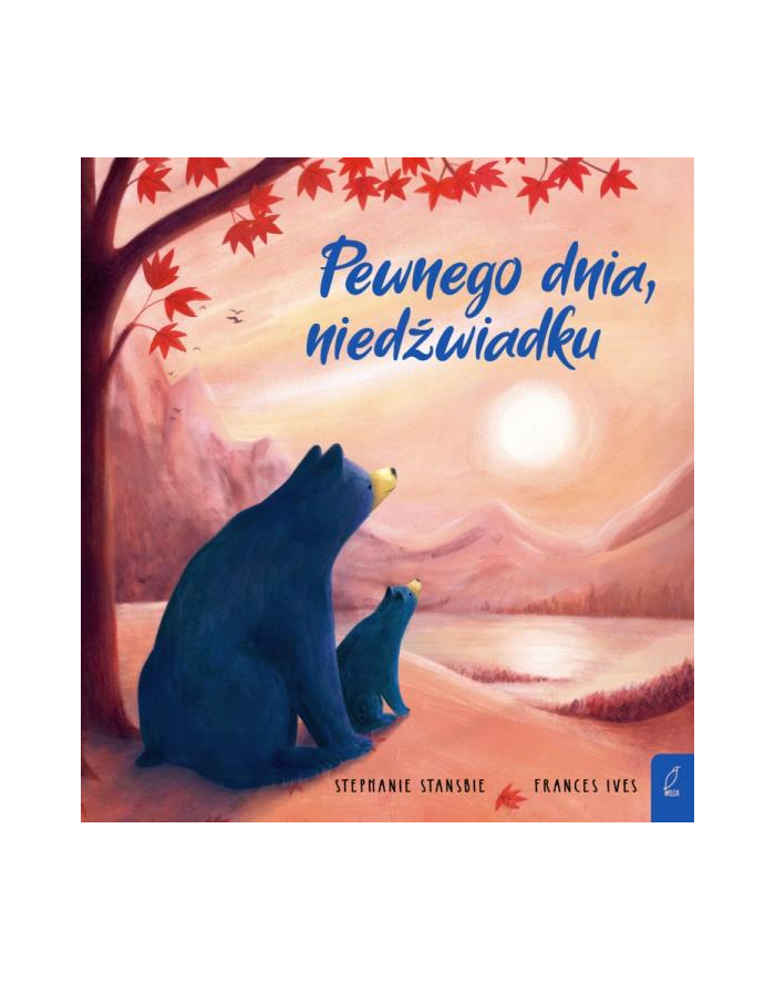 foksal Książka Pewnego dnia, niedźwiadku główny