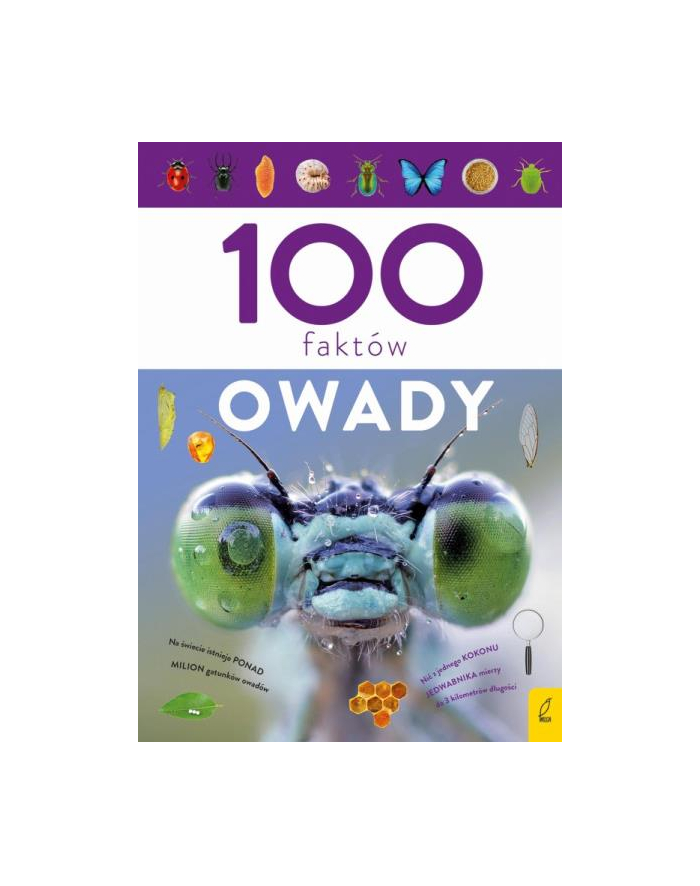 foksal Książka 100 faktów. Owady główny