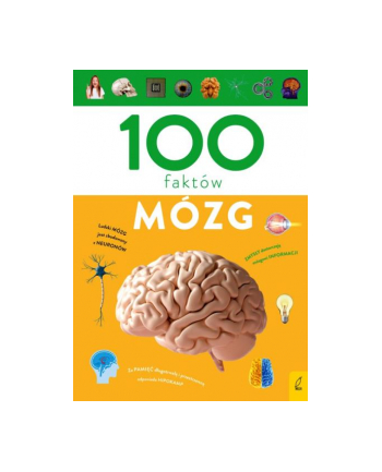foksal Książka 100 faktów. Mózg