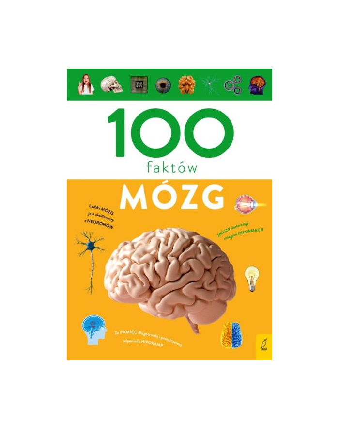 foksal Książka 100 faktów. Mózg główny