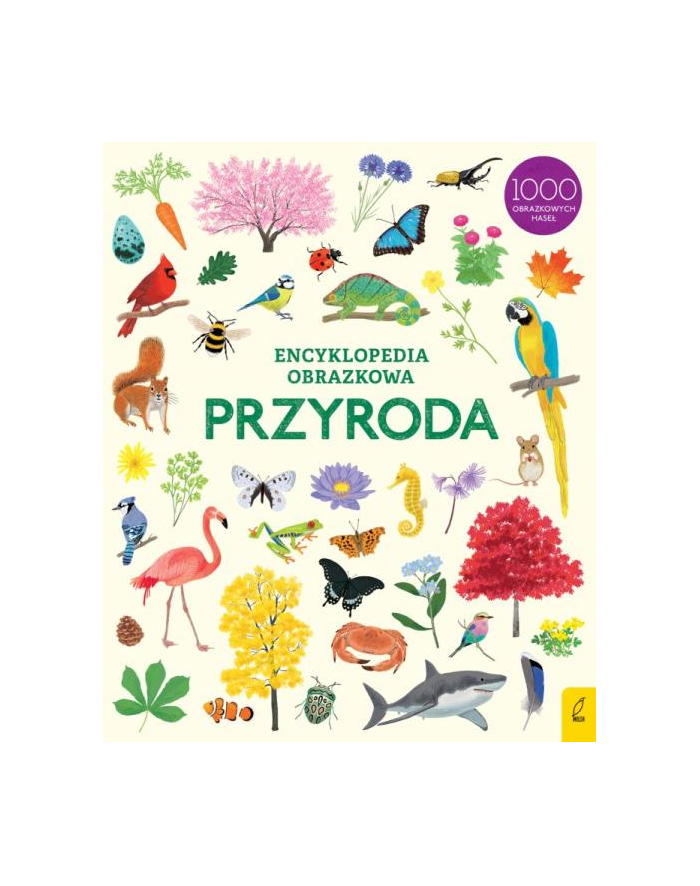 foksal Książka Encyklopedia obrazkowa. Przygoga wyd. II główny