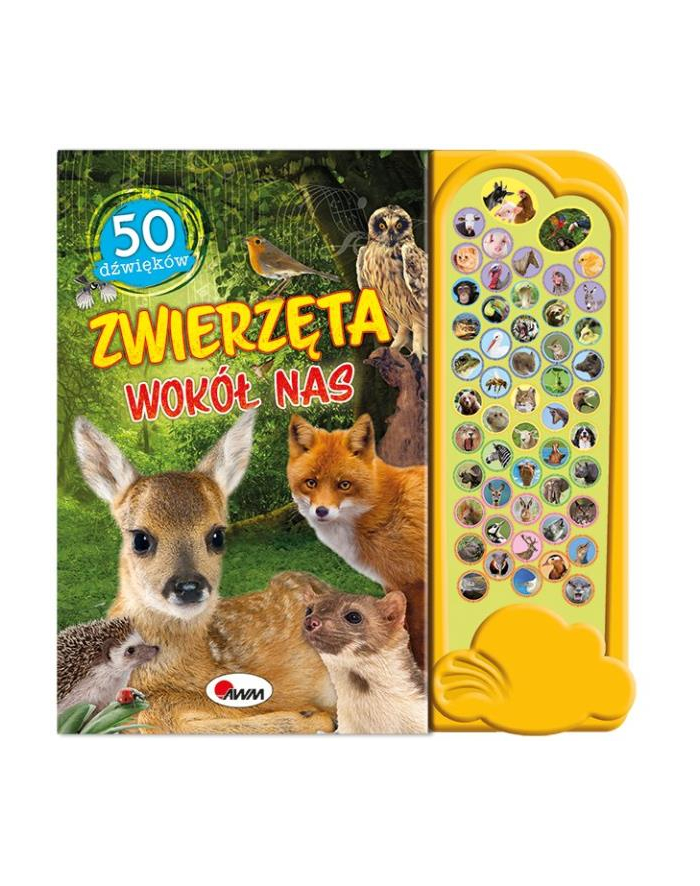 morex Książka 50 dźwięków. Zwierzęta wokół nas główny