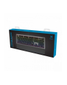 noxo Conqueror mechaniczna klawiatura dla graczy BLUE Switch (niebieskie przełączniki), RAINBOW LED - nr 6