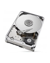 seagate Dysk IronWolfPro12TB 3.5'' 256MB ST12000NT001 - nr 47