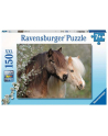Puzzle 150el XXL Konie 129867 Ravensburger - nr 1