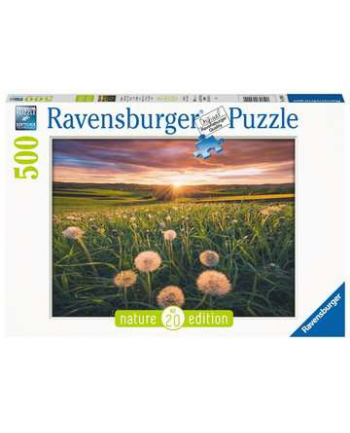 Puzzle 500el Łąka 169900 Ravensburger