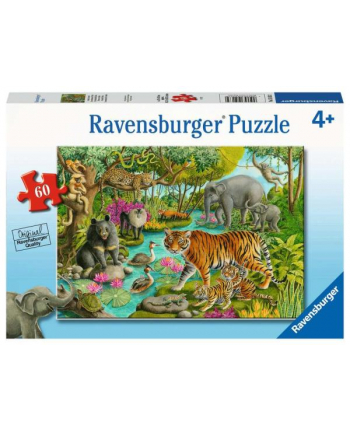 Puzzle 60el Animals of India. Zwierzęta z Indii 051632 Ravensburger