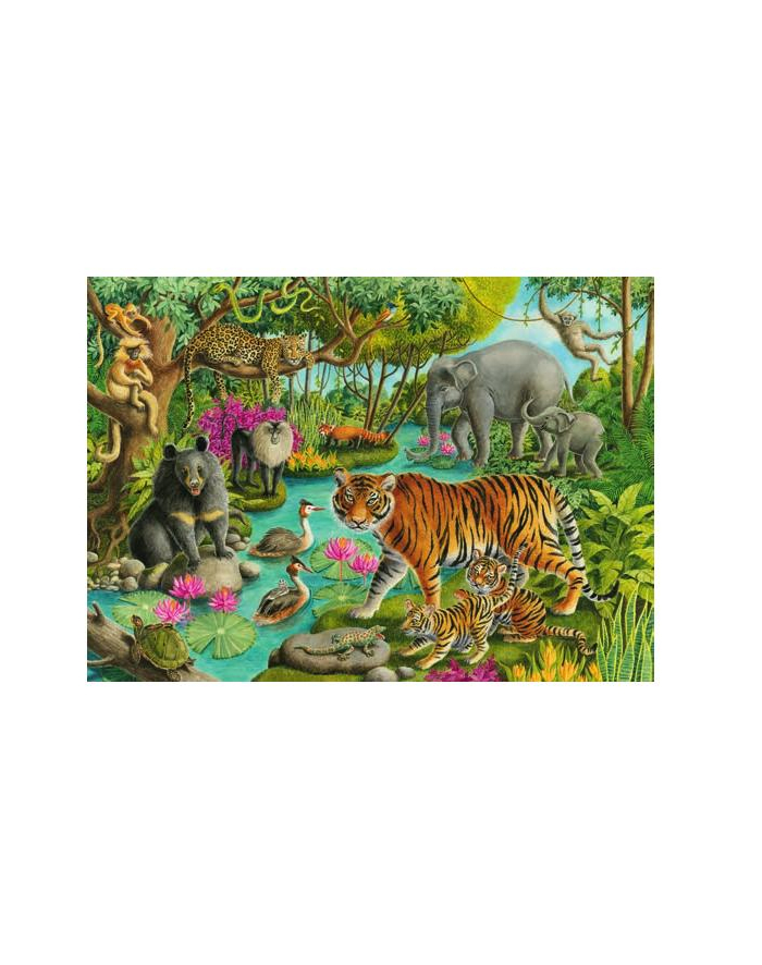 Puzzle 60el Animals of India. Zwierzęta z Indii 051632 Ravensburger główny