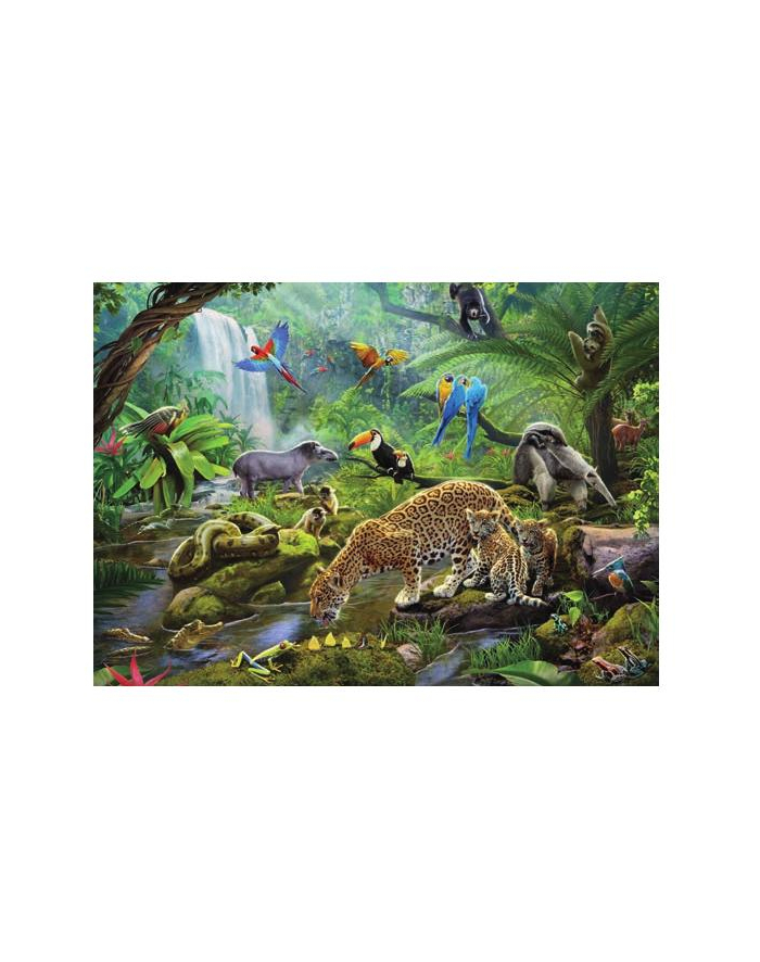 Puzzle 60el Zwierzęta z lsu tropikalnego. 051663 Ravensburger główny