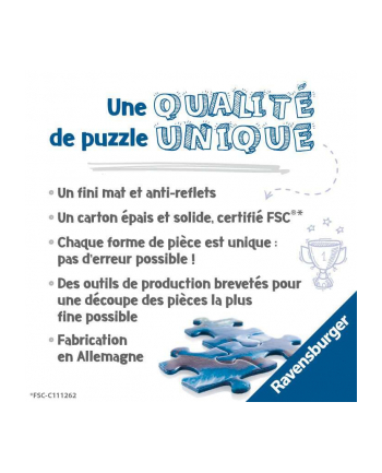 Puzzle 2000el Pod wodą 171156 Ravensburger nr 2