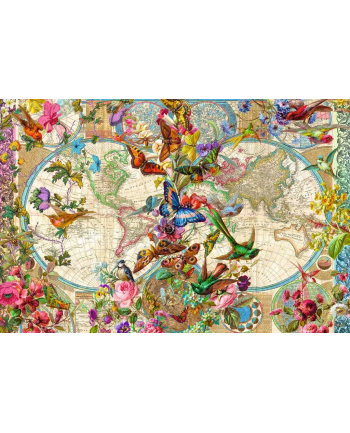 Puzzle 3000el Flora i Fauna. Mapa Świata 171170 Ravensburger