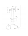 techly Mobilny stojak do TV 32-70 cali 40 kg regulowany - nr 7